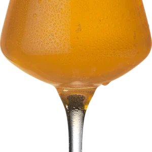 Øl i et stilfuldt glas